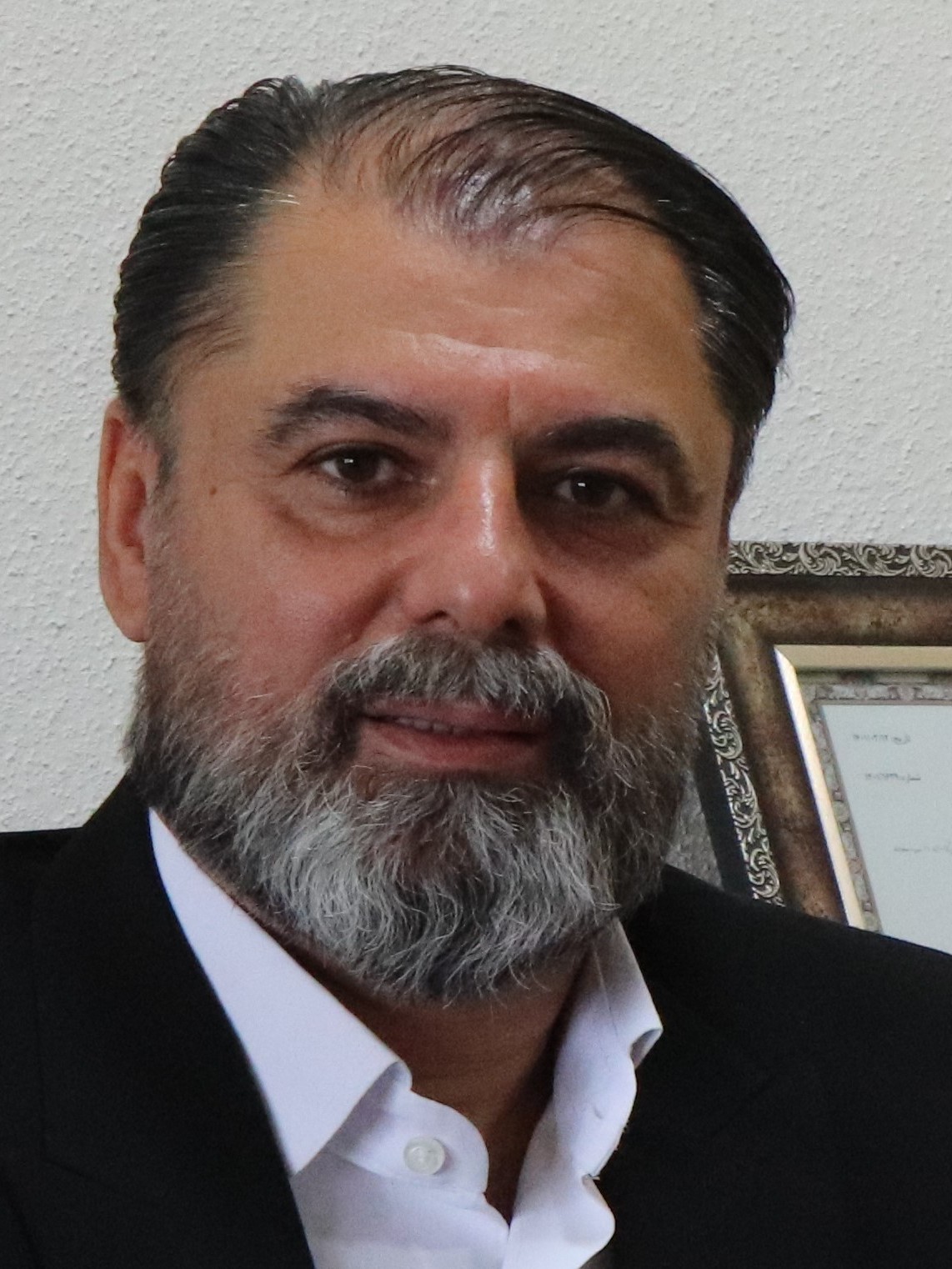 حمید امیرنژاد